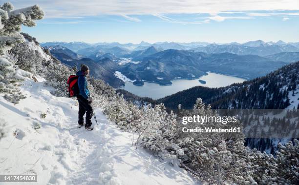 hiker with backpack looking at walchensee from mt. herzogstand, bavarian prealps, bavaria, germany - mt herzogstand bildbanksfoton och bilder