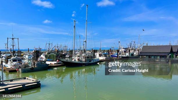 steveston wharf - richmond   british columbia stock pictures, royalty-free photos & images