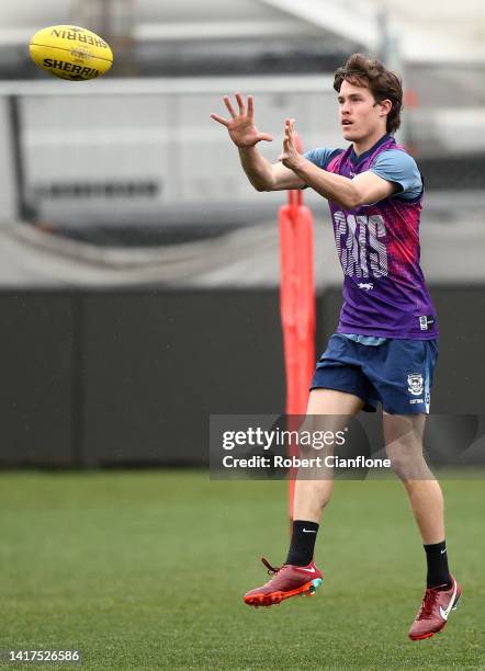 Zane Williams of the Cats takes the ball takes the ball during a Geelong Cats AFL and AFLW media opportunity at GMHBA Stadium on August 24, 2022 in...