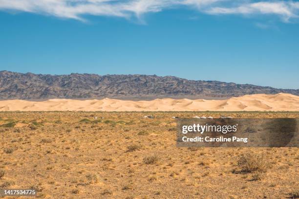 landscape of gobi desert. - gobi gurvansaikhan national park stock pictures, royalty-free photos & images