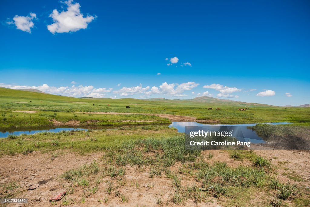 Steppe of Mongolia in the summer.