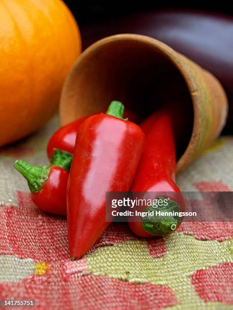 red chillies in terracotta pot - ingrid henningsson stock pictures, royalty-free photos & images
