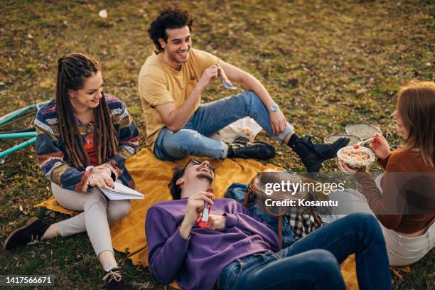 a small group of students gathered for a picnic to enjoy the sunny day - university student picnic stock pictures, royalty-free photos & images