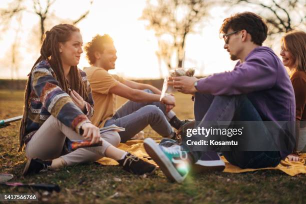 multiracial group of high school students enjoying the weekend in the park - university student picnic stock pictures, royalty-free photos & images