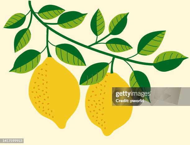 lemon branch background . - spring fruit background stock illustrations