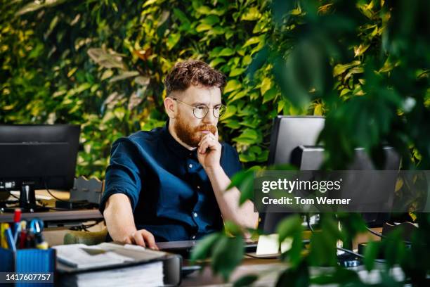 man concentrating while working at computer desk in green office - co workers looking at computer stock-fotos und bilder