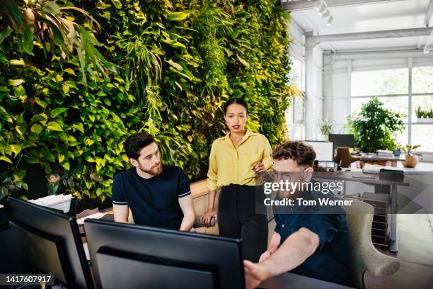 office team working at computer desk in front of botanical display - consultation at office desk imagens e fotografias de stock