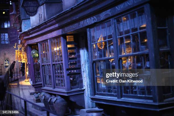 Visitors walk down Diagon Alley at the Harry Potter Studio Tour at Warner Brothers Leavesden Studios on March 23, 2012 in London, England. The...