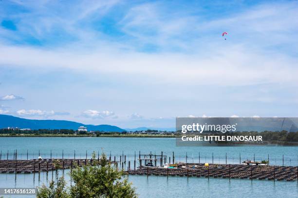 freshwater pearl farming rack on lake biwa - gunma prefecture imagens e fotografias de stock