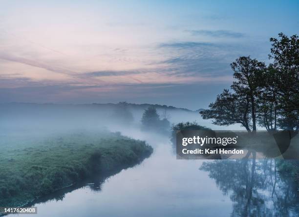 a misty morning in surrey uk - rivier gras oever stockfoto's en -beelden
