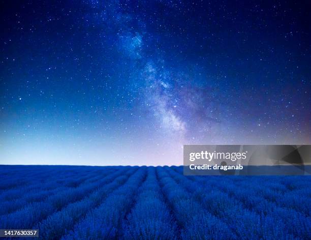 lavendelfeld unter dem himmel der milchstraße - screen saver stock-fotos und bilder