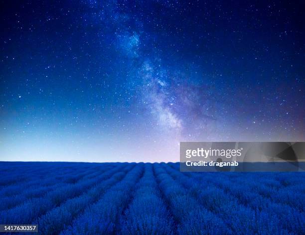 lavender field under the sky of milky way - milky way stock pictures, royalty-free photos & images