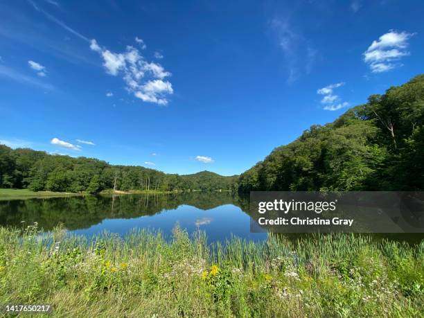 tranquil lake in daytime - indiana lake stock pictures, royalty-free photos & images