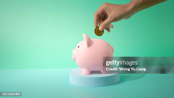 hand savings golden coin into piggy bank, financial concept photo with copy space - cofre para moedas - fotografias e filmes do acervo