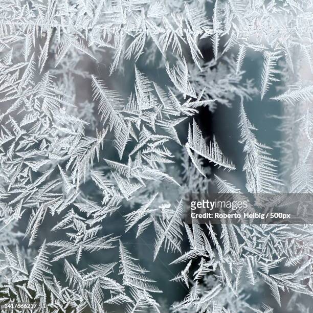 close-up of snowflakes,berlin,germany - frost stockfoto's en -beelden