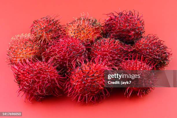 Lichen Rambutan 159 Rambutan Lychee Stock Photos, High-Res Pictures, and Images - Getty ...