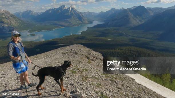 trailrunnerin steht mit hund auf bergrücken - kananaskis stock-fotos und bilder