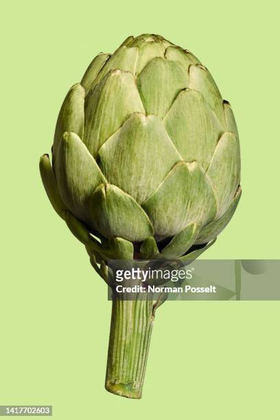 close up whole green artichoke on green background - artichoke stock pictures, royalty-free photos & images