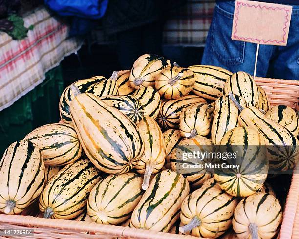 organic delicata squash - delicata squash stock pictures, royalty-free photos & images