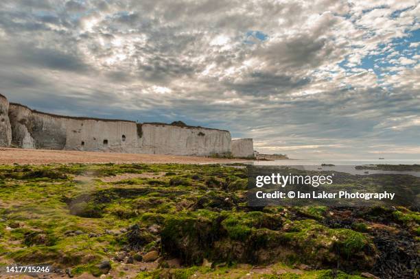 broadstairs, kent, england, uk. 22 august 2022. the cliffs at botany bay. - botany bay stock-fotos und bilder