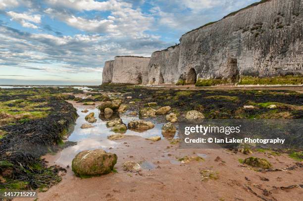 broadstairs, kent, england, uk. 22 august 2022. the cliffs at botany bay. - botany bay stock pictures, royalty-free photos & images