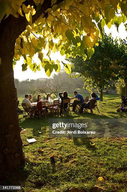 Rest Under Tree 3,183 Resting Under A Tree Stock Photos, High-Res Pictures, and Images ...