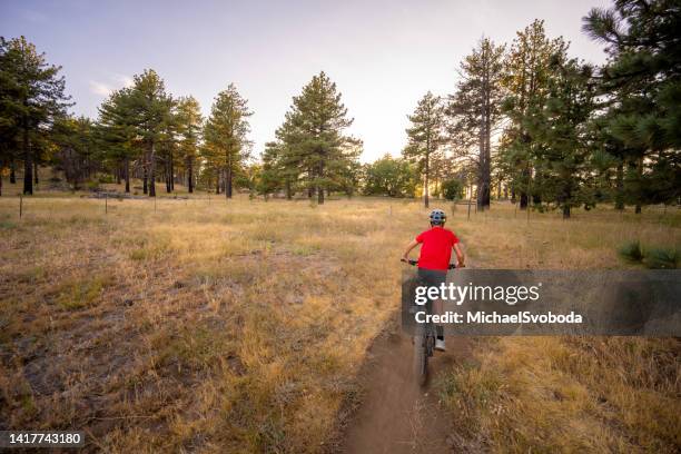 a boy riding his mountain bike - route 13 stock pictures, royalty-free photos & images