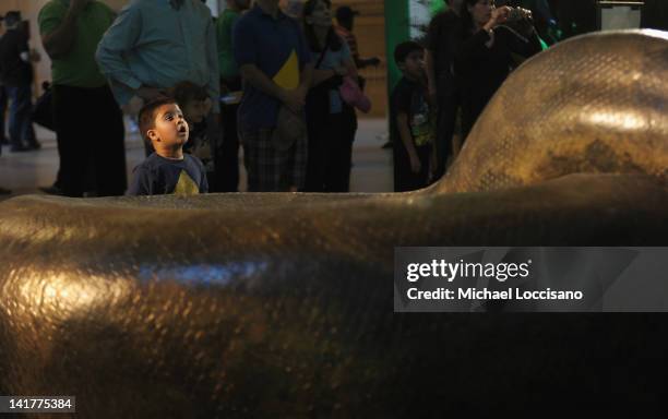 Lukas Mall views a replica of the prehistoric Titanoboa, the largest snake to ever live, on display at Grand Central Terminal on March 23, 2012 in...