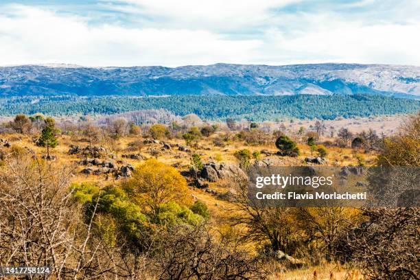 rural landscape in córdoba, argentina - cordoba province argentina stock pictures, royalty-free photos & images