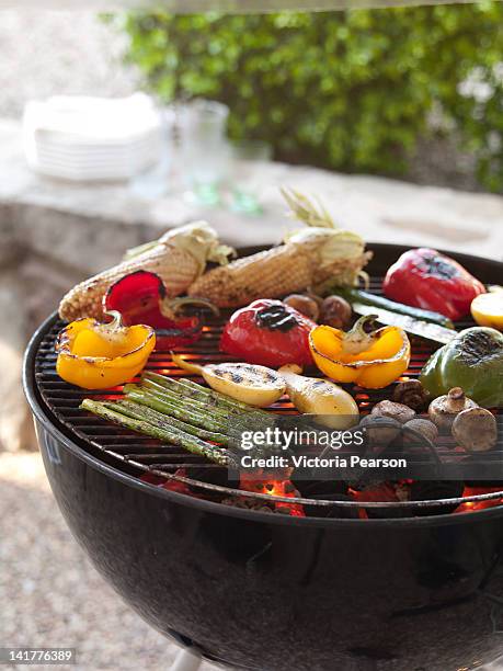 various grilled vegetables on a barbecue. - grelhado imagens e fotografias de stock