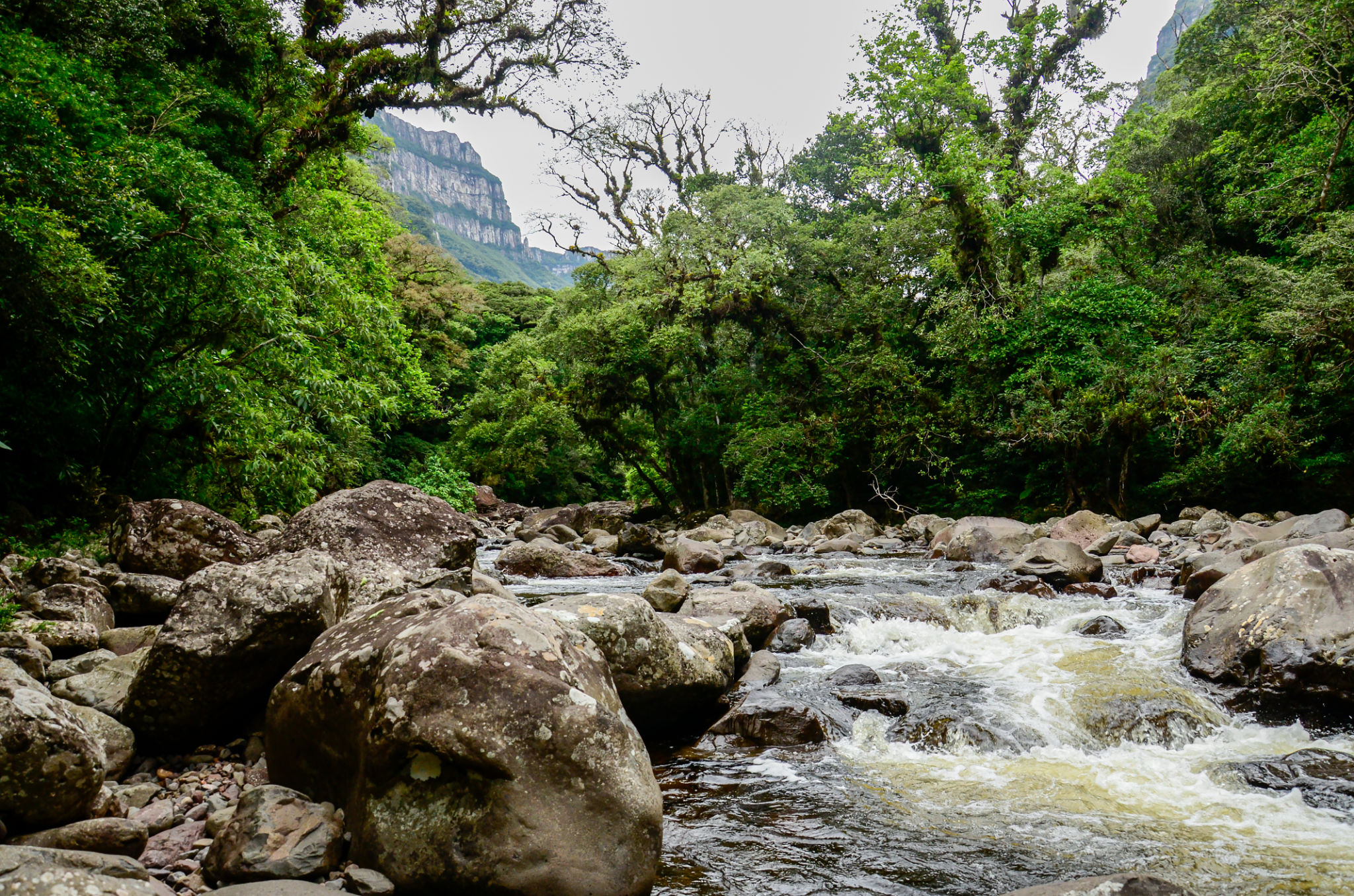 trilha serra rio