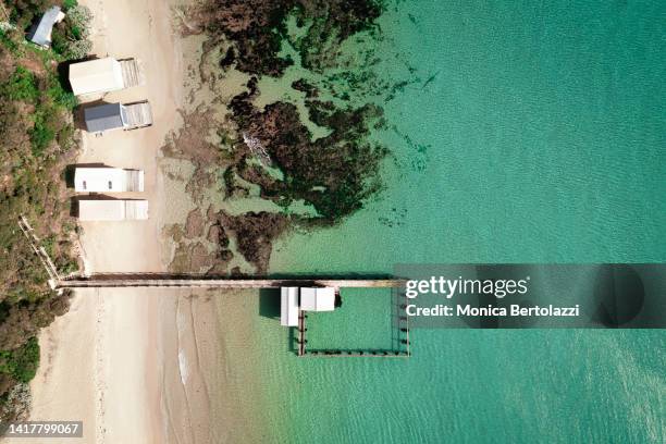 drone shot of shelly beach jetties and beach huts - mornington peninsula stock-fotos und bilder