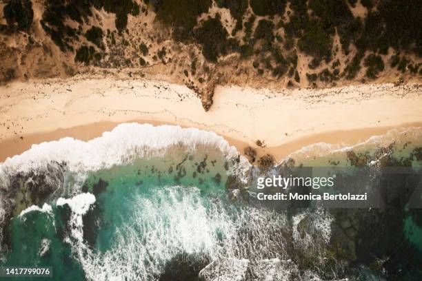 aerial view of the beautiful ocean beach of koonya - mornington peninsula stock-fotos und bilder