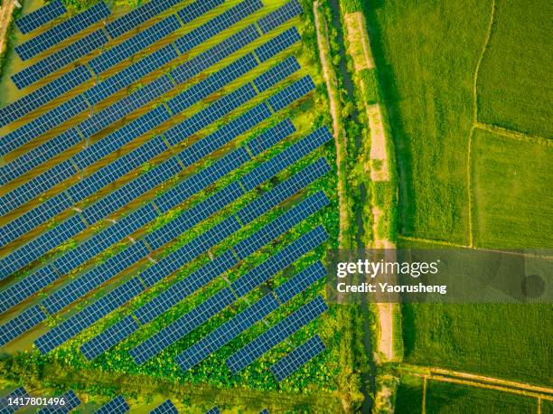 solar power stations on the lotus lily lake,green concept for net zero - green economy stock pictures, royalty-free photos & images