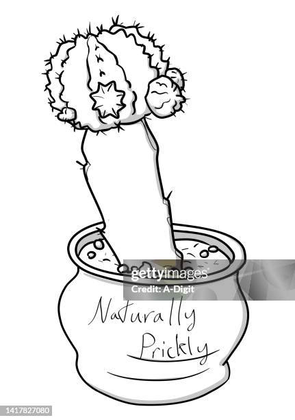 natural pricklyness sketch - cactus needles stock illustrations