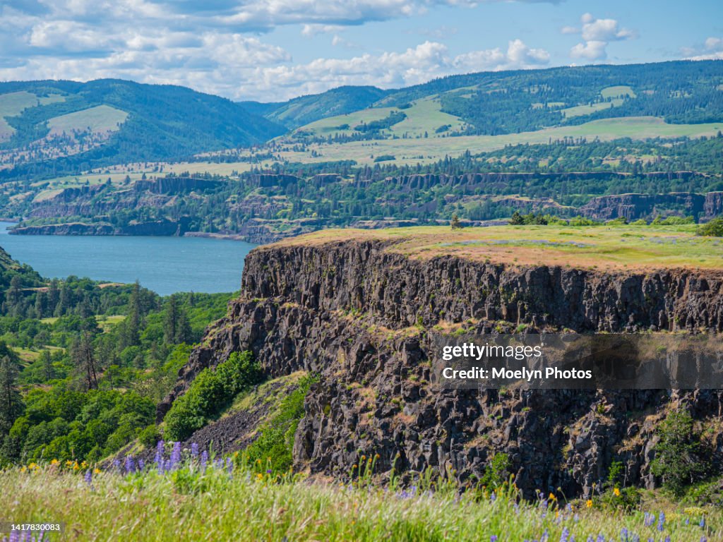 Mosier Plateau Trail - OR