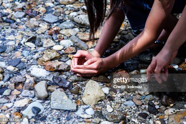 Kid Collecting Rocks 487 Child Collecting Rocks Stock Photos, High-Res Pictures, and Images ...