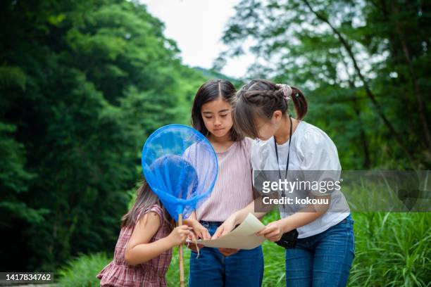 3 sisters looking at the map in nature park - field trip imagens e fotografias de stock