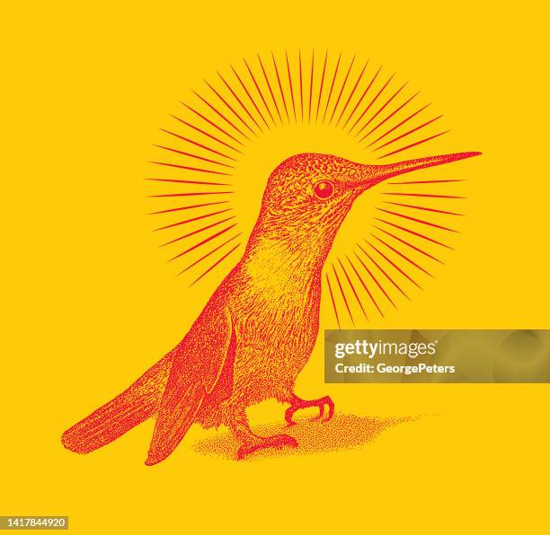 cute smiling ruby throated hummingbird - ruby throated hummingbird migration stock illustrations