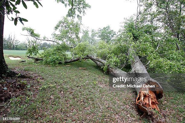 Shattered tree is seen beside the fifth fairway prior to the delayed start of the first round of the Mississippi Gulf Resort Classic held at Fallen...