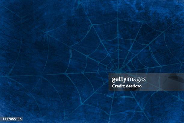 stockillustraties, clipart, cartoons en iconen met foggy horror midnight view, of blank spooky dark blue sky with spider web or cobweb - spinnenweb
