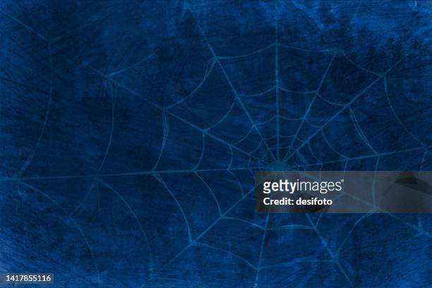 foggy horror midnight view, of blank spooky dark blue sky with spider web or cobweb - halloween stock illustrations