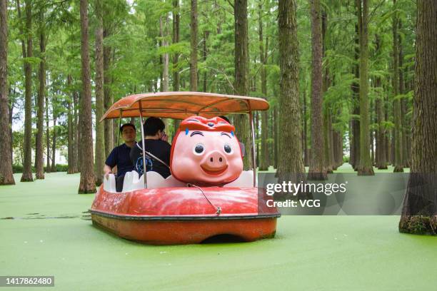 Tourists enjoy a boat ride in a Metasequoia forest of Luyang Lake Wetland Park on August 24, 2022 in Yangzhou, Jiangsu Province of China.