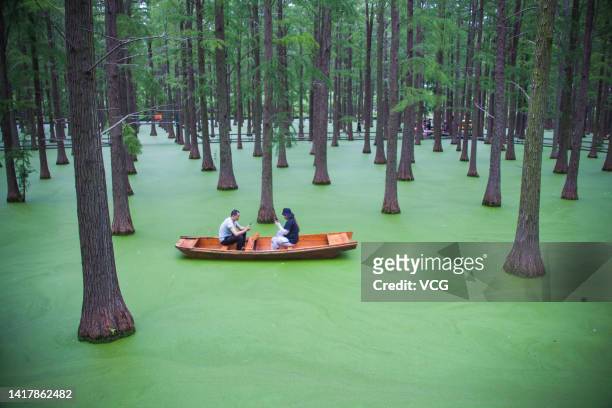 Tourists enjoy a boat ride in a Metasequoia forest of Luyang Lake Wetland Park on August 24, 2022 in Yangzhou, Jiangsu Province of China.