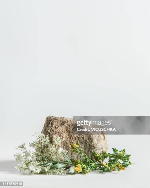 product display with natural stone and wild herbs and flowers - nutzen stock-fotos und bilder