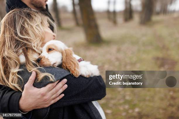 you enrich our life - cocker spaniel stock pictures, royalty-free photos & images