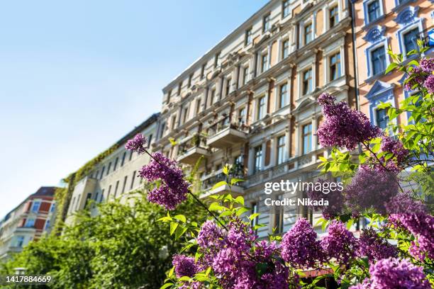 springtime in berlin-prenzlauer berg berlin, germany - prenzlauer berg imagens e fotografias de stock