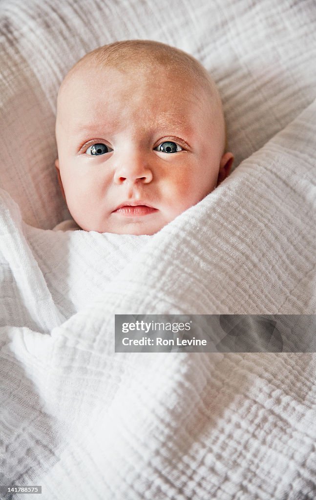 Two month old infant swaddled in blanket, staring