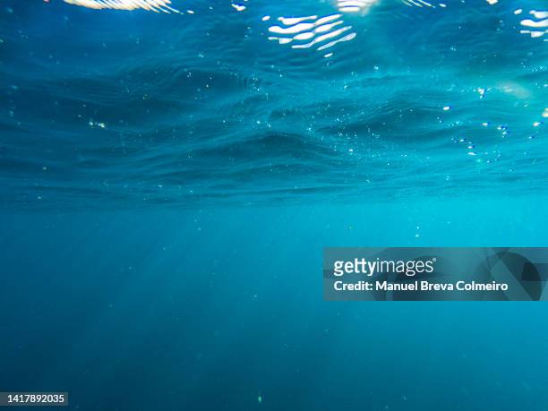 underwater - indian ocean - fotografias e filmes do acervo