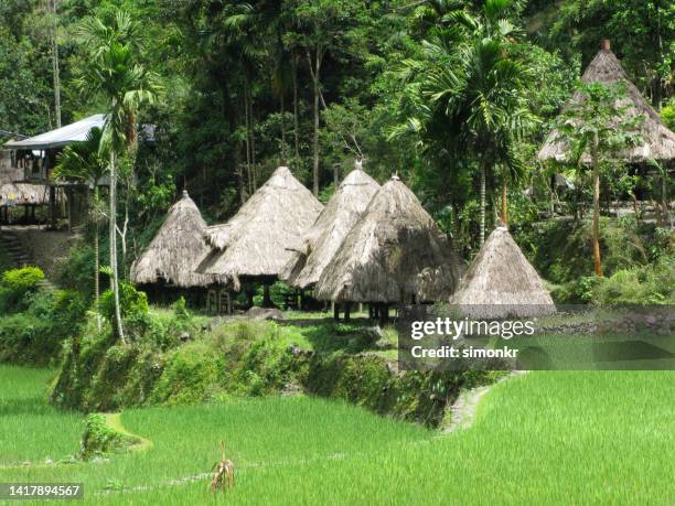 view of village and rice terraces - shack stock pictures, royalty-free photos & images
